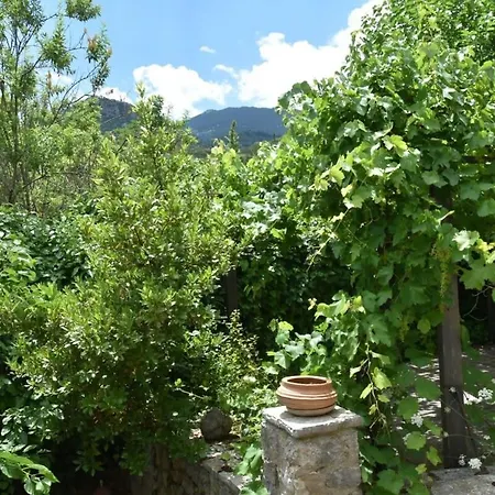 Vintage Stone - 4 Season Escape *